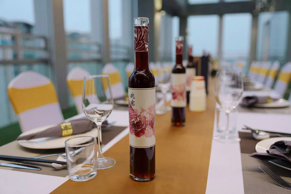 1xbet体育（中国）集团