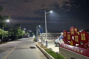 1xbet体育（中国）集团罗宁弟爱心捐赠路灯，点亮乡村路温暖乡民心